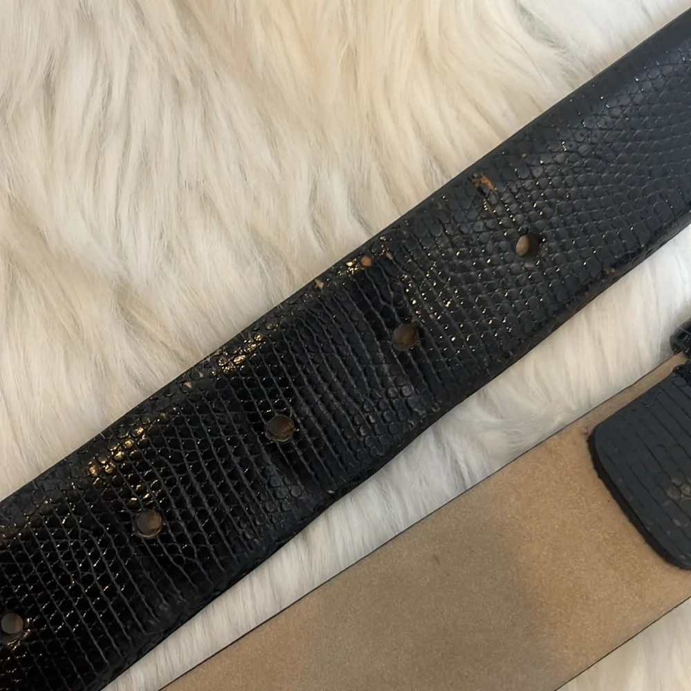 Brioni Black Genuine Lizard Silver Buckle Belt Men B261/F39